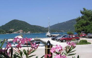 Holiday Apartment in Hodilje (Dubrovacko-Neretvanska) or holiday homes and vacation rentals