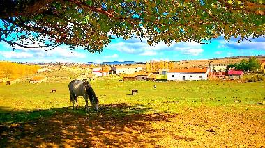 Holiday House in Terriente (Teruel) or holiday homes and vacation rentals