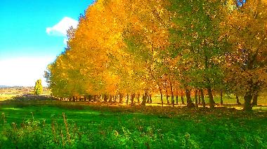 Holiday House in Terriente (Teruel) or holiday homes and vacation rentals