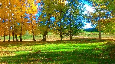 Holiday House in Terriente (Teruel) or holiday homes and vacation rentals