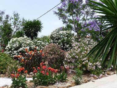 Holiday House in Almogia (Mlaga) or holiday homes and vacation rentals