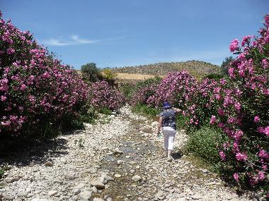 Holiday House in Almogia (Mlaga) or holiday homes and vacation rentals