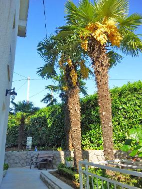 Holiday House in Matulji  (Primorsko-Goranska) or holiday homes and vacation rentals