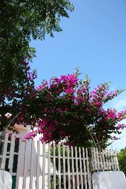 Holiday Apartment in Torre Suda (Lecce) or holiday homes and vacation rentals