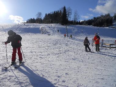 Holiday Apartment in Litschau (Waldviertel) or holiday homes and vacation rentals