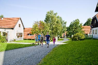Holiday Apartment in Litschau (Waldviertel) or holiday homes and vacation rentals