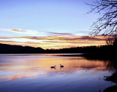 Villa in Eupilio  (Como) or holiday homes and vacation rentals