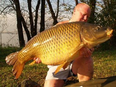 Villa in Eupilio  (Como) or holiday homes and vacation rentals