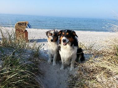 Holiday Apartment in Schnberg (Ostsee-Festland) or holiday homes and vacation rentals
