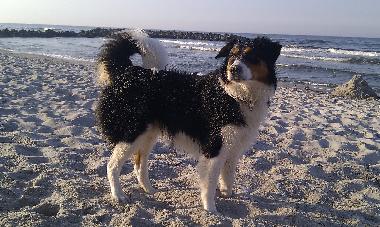 Holiday Apartment in Schnberg (Ostsee-Festland) or holiday homes and vacation rentals