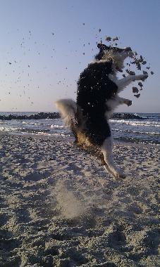 Holiday Apartment in Schnberg (Ostsee-Festland) or holiday homes and vacation rentals