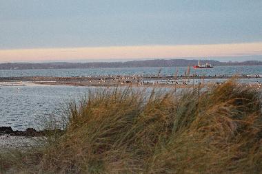 Holiday Apartment in Schnberg (Ostsee-Festland) or holiday homes and vacation rentals