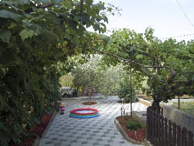 Holiday House in Fazana (Istarska) or holiday homes and vacation rentals