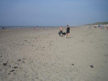 Holiday House in Bredene aan Zee (Flanders) or holiday homes and vacation rentals