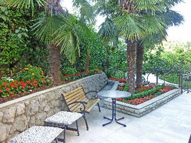 Sitting Area for Smokers with Palmes