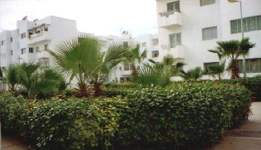 Holiday Apartment in Agadir (Agadir) or holiday homes and vacation rentals