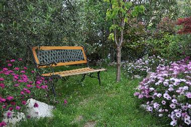 Holiday House in Duce (Splitsko-Dalmatinska) or holiday homes and vacation rentals