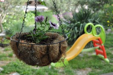 Holiday House in Duce (Splitsko-Dalmatinska) or holiday homes and vacation rentals