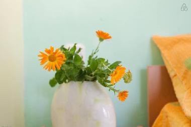 Holiday Apartment in Pestani (Ohrid) or holiday homes and vacation rentals