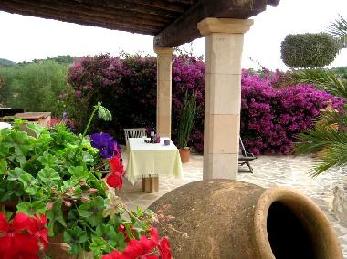 Holiday Apartment in Son Macia (Mallorca) or holiday homes and vacation rentals