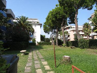 the garden