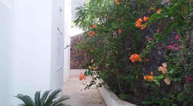 Holiday House in North Baia (Sao Vicente) or holiday homes and vacation rentals