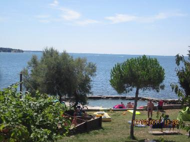 Holiday Apartment in Novigrad (Istarska) or holiday homes and vacation rentals
