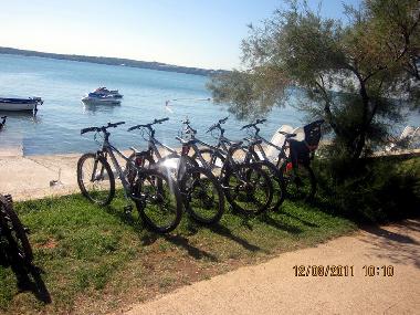 Holiday Apartment in Novigrad (Istarska) or holiday homes and vacation rentals