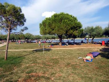 Holiday Apartment in Novigrad (Istarska) or holiday homes and vacation rentals