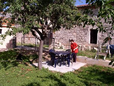 Holiday Apartment in Novigrad (Istarska) or holiday homes and vacation rentals