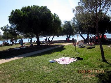 Holiday Apartment in Novigrad (Istarska) or holiday homes and vacation rentals