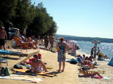 Holiday Apartment in Novigrad (Istarska) or holiday homes and vacation rentals