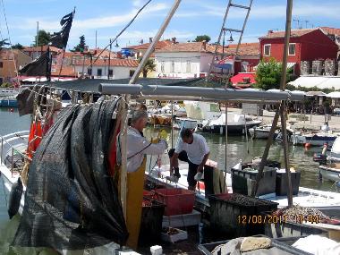 Holiday Apartment in Novigrad (Istarska) or holiday homes and vacation rentals