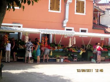 Holiday Apartment in Novigrad (Istarska) or holiday homes and vacation rentals