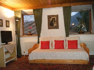 Holiday Apartment in Krimml (Pinzgau-Pongau) or holiday homes and vacation rentals