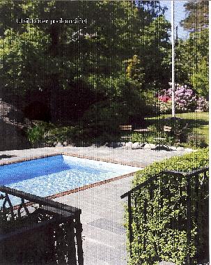 The Swimmingpool and the beautiful garden 