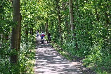 Holiday House in Zoutelande (Zeeland) or holiday homes and vacation rentals