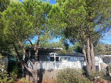 Chalet in st tropez (Var) or holiday homes and vacation rentals