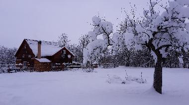 Chalet in Vistisoara (Brasov) or holiday homes and vacation rentals