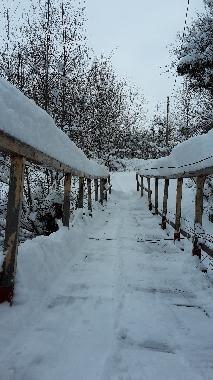 Chalet in Vistisoara (Brasov) or holiday homes and vacation rentals