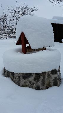 Chalet in Vistisoara (Brasov) or holiday homes and vacation rentals