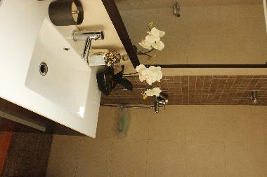 Holiday House in Raiva, Castelo de Paiva (Norte) or holiday homes and vacation rentals