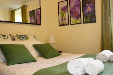Holiday House in Raiva, Castelo de Paiva (Norte) or holiday homes and vacation rentals