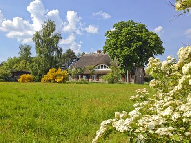 Holiday House in Wieck (Fischland-Dar-Zingst) or holiday homes and vacation rentals