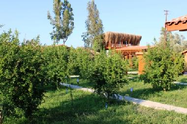 Bed and Breakfast in KEMER (Antalya) or holiday homes and vacation rentals