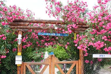 Bed and Breakfast in KEMER (Antalya) or holiday homes and vacation rentals