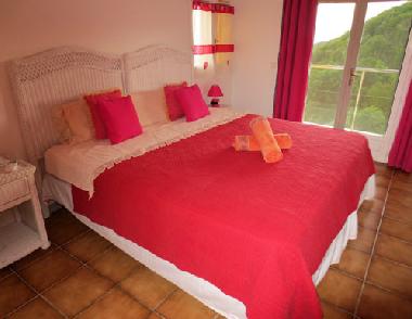 Holiday House in ST BARTHELEMY (Guadeloupe) or holiday homes and vacation rentals