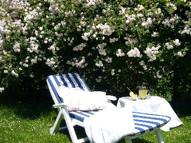 Holiday Apartment in Rot am See (Hohenlohe) or holiday homes and vacation rentals
