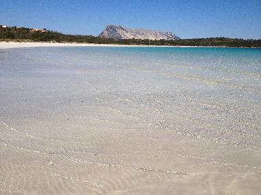 Holiday House in San Teodoro (Olbia-Tempio) or holiday homes and vacation rentals