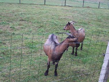 Holiday House in criquetot l esneval (Seine-Maritime) or holiday homes and vacation rentals